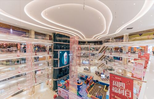 名品網(wǎng)平臺(tái)