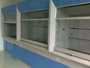陜西實驗室通風(fēng)設(shè)備與裝修指南 西安通風(fēng)柜、延安裝修價格及廠家選擇